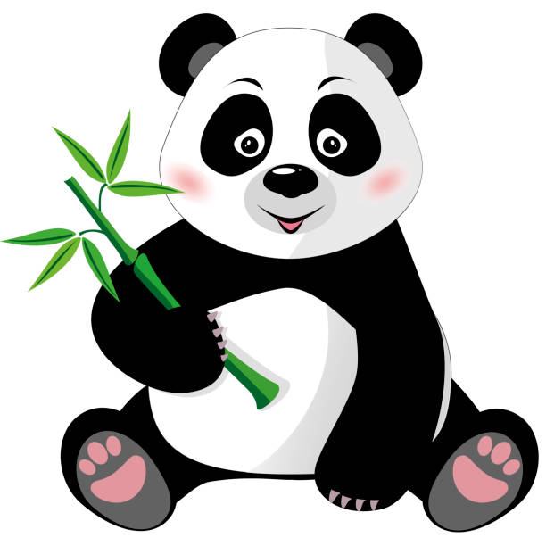 panda-about